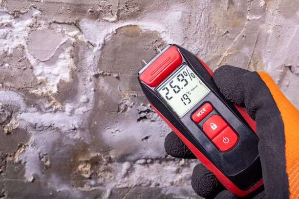 Best Residential Mold Removal  in Central, LA