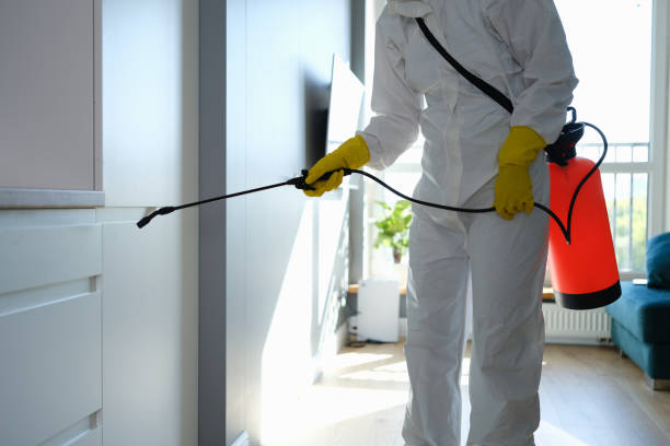 Best Mold Removal and Inspection  in Central, LA