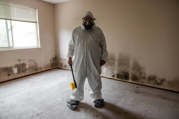 Best Commercial Mold Removal  in Central, LA