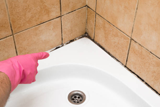 Best Emergency Mold Removal  in Central, LA